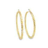 10K Gold Earring Hoops 50mm