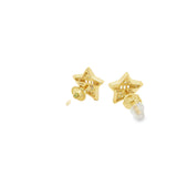 Star G-P Silver 925S Stud Earrings -sunshine