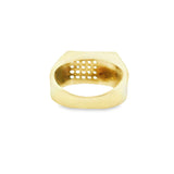 Men Signet Medusa Gold Ring Zirconia 10K